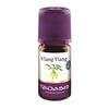 TAOASIS YLANG YLANG Öl Bio