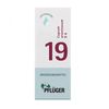 BIOCHEMIE Pflüger 19 Cuprum arsenic.D 6 Tropfen
