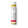 DR.HAUSCHKA Schlehenblüten Pflegeöl Probierpackung