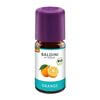 BALDINI Bioaroma Orange Bio/Demeter Öl
