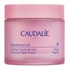 CAUDALIE Resveratrol Lift Kräuter-Nachtcreme